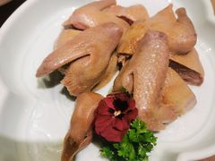老卤盐水乳鸽-苏帮袁Sue Cuisine(南开大悦城店)