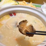 洛阳探店｜喝🐔汤 吃鲜活鲍鱼🦪