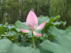 -大宁灵石公园西门票处