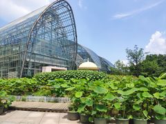 -南山植物园
