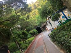 -灌顶姜母鸭(思明南路店)