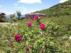 -阳台山自然风景区