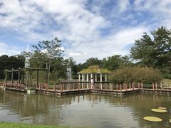 -中国科学院西双版纳热带植物园