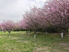 -江苏三台山国家森林公园