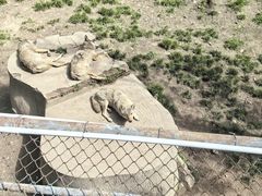 -哈尔滨北方森林动物园