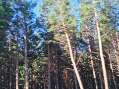 -塞罕坝国家级自然保护区