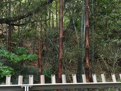 -福道