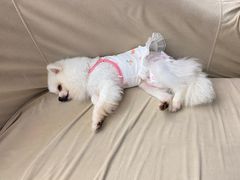 -怪兽屋·羊驼·猫咖·狗咖(俊华广场店)