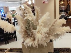 -国芳中心
