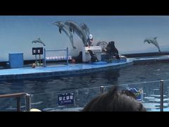 -秦皇岛乐岛海洋王国