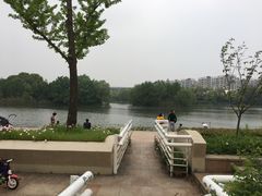 -新江湾城公园