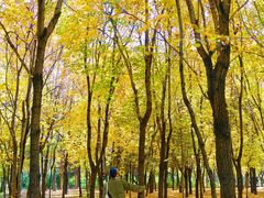 -长春市南湖公园