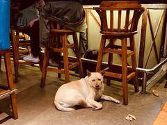 -Cactus墨西哥仙人掌餐厅