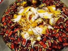 渝信水煮鱼-渝信川菜(南滨店)
