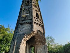 -上海佘山国家森林公园天马山园