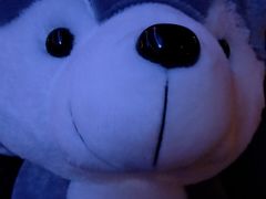 -PAWTOY爪e玩偶店(天兴罗斯福店)