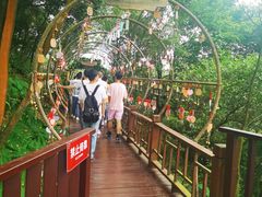 -石燕湖生态旅游景区