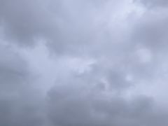 -北仑森林植物园