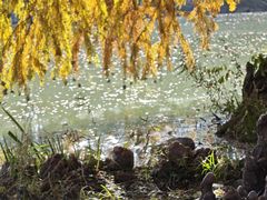 -浙江农林大学(东湖校区)