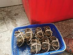 -喜洋洋蟹庄(阳澄湖店)