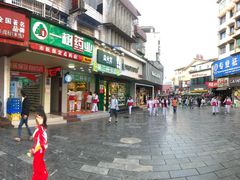 -花溪王记牛肉粉(四季花溪商场店)