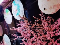-韵秋荷(宝山龙湖天街店)