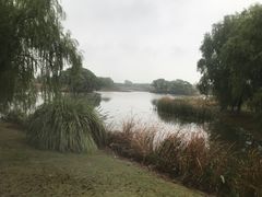 -梁鸿国家湿地公园