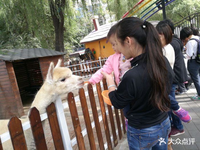 朝阳公园亲子动物园图片