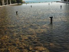 iphone_upload_pic-三亚亚龙湾红树林度假酒店