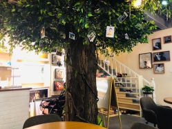 -四叶草环球旅拍