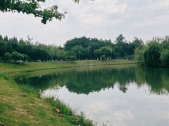 -升仙湖公园