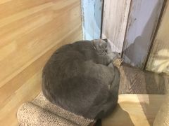 -小时光咖啡馆(开森度假森林店)