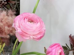 -Flower in(密渡桥店)