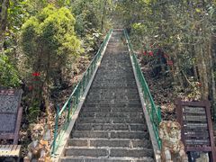 -云南屏边大围山国家公园