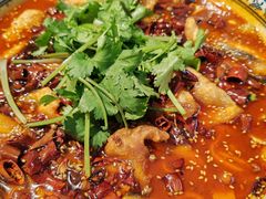 -清真·拉菲尔鱼庄·家常菜(钟楼回民街店)