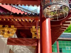 -江西阳明山国家森林公园
