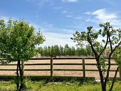 -北京群众马术培训基地