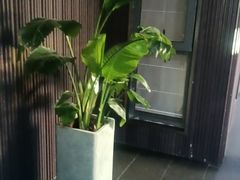 -阿伟海鲜楼·福建菜(涵江店)