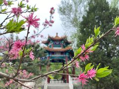 -滨河世纪广场公园