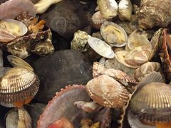 -隆喜元鱼汤包·海鲜(中联广场店)