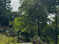 -东莞植物园