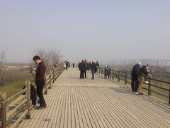 -汉长安城未央宫国家考古遗址公园