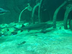 -华夏文旅海洋公园