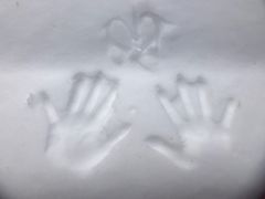 -北海道厅旧本厅舍(旧本庁舎)