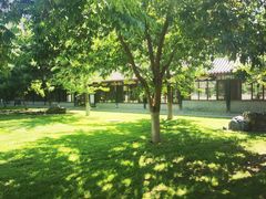-护国法轮寺