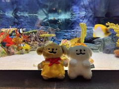 -上海海洋水族馆