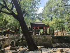 -井塘古村
