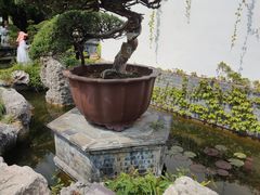 -水绘园