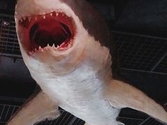 -浙江自然博物院(杭州馆)
