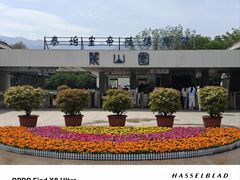 -秦始皇帝陵博物院-丽山园